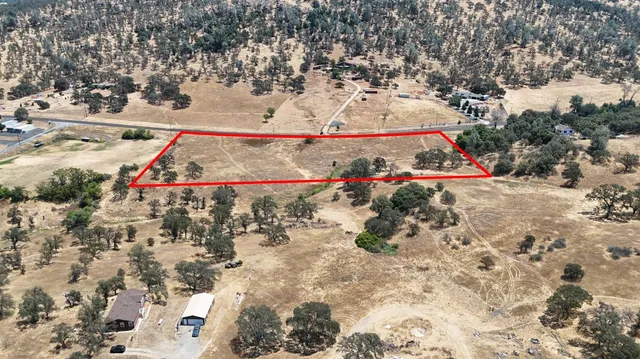 a close up of a plant