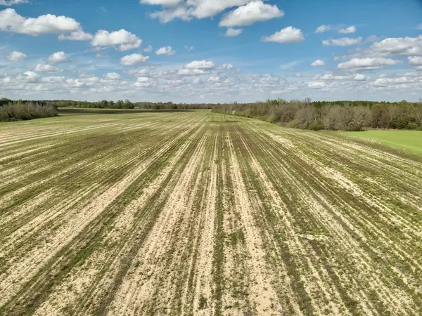 $157,500 | 15-acres Antioch Church Road, Ashford, AL 36312