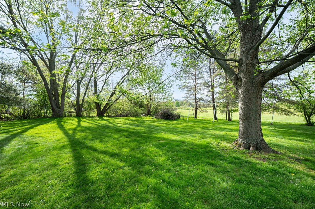12310 Huntoon Road Painesville, OH 44077 - Photo 41 of 48 Backyard view