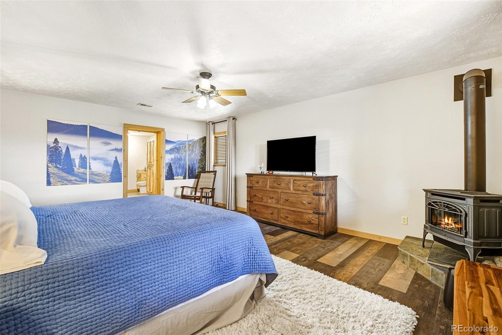 111 Twinkle Road Guffey, CO 80820 - Photo 21 of 39 a bedroom with a bed and a flat screen tv