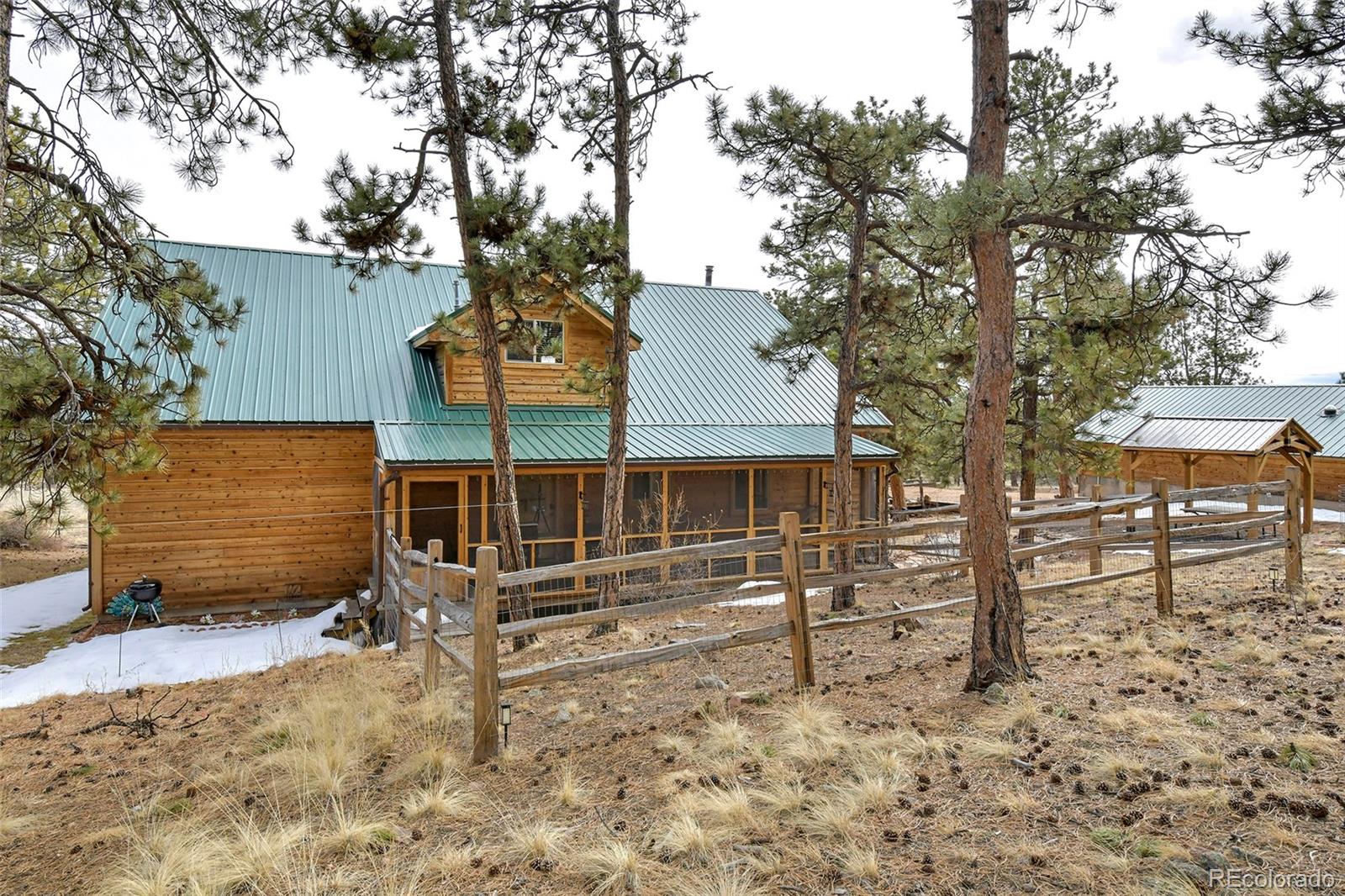 111 Twinkle Road Guffey, CO 80820 - Photo 8 of 39 front view of a house with a large tree