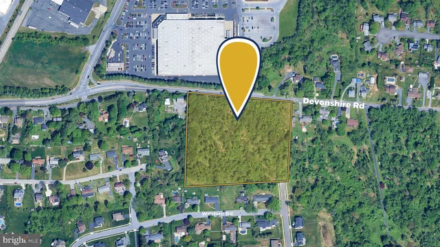 a view of a backyard with plants