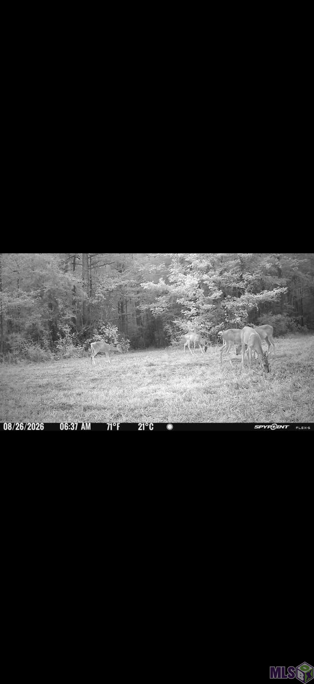 Tbd Jerusalem Road Liberty, MS 39645 - Photo 35 of 60 Gallery Image 35