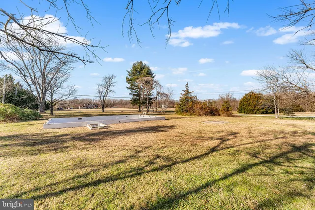 a view of dirt yard with a large tree