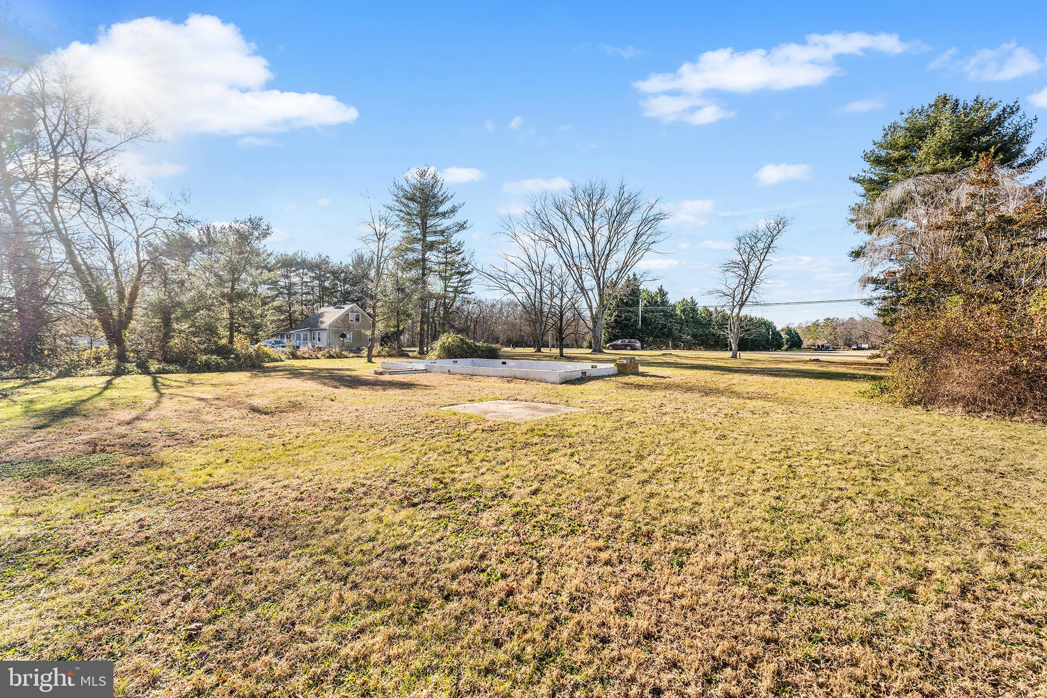 610 Buck Road Pittsgrove, NJ 08318 - Photo 6 of 19 a view of yard with large trees