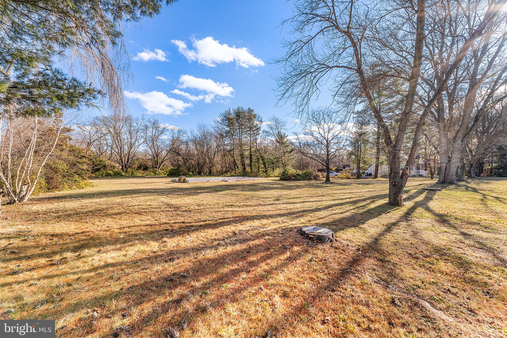 610 Buck Road Pittsgrove, NJ 08318 - Photo 9 of 19 a view of yard with tree s