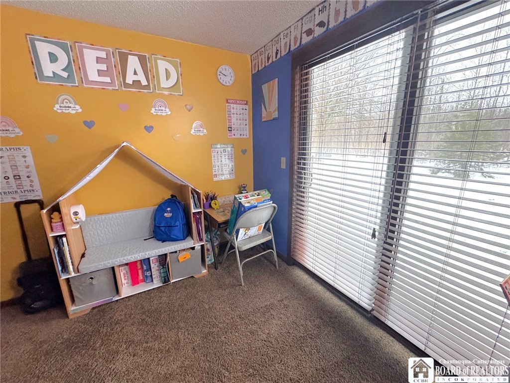 820 Beach Road Evans, NY 14006 - Photo 33 of 44