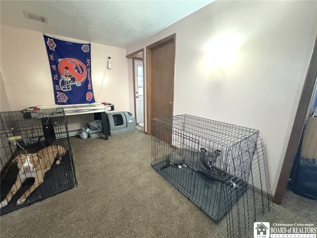 820 Beach Road Evans, NY 14006 - Photo 39 of 44