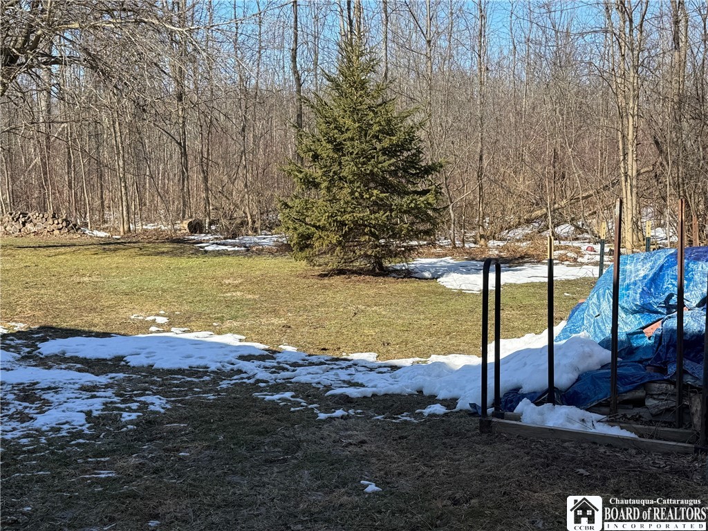 820 Beach Road Evans, NY 14006 - Photo 6 of 44