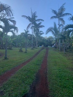 a view of a park with a lake