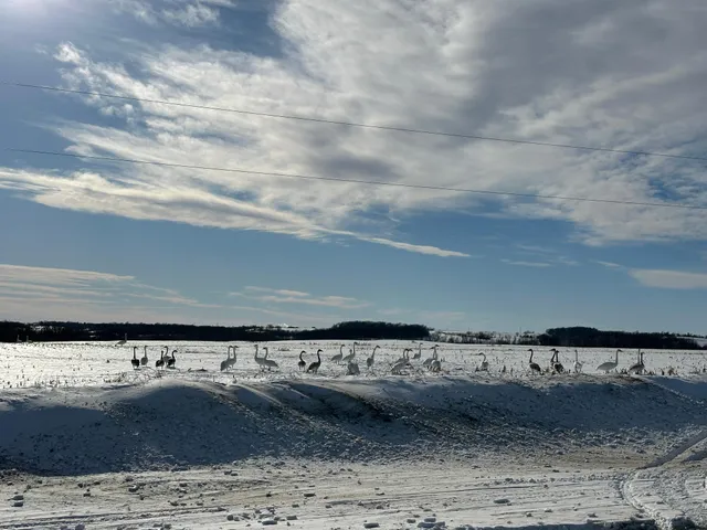 $356,000 | 10 Fergus Falls, Elizabeth, MN 56533