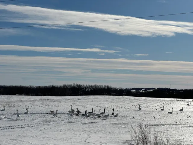 $356,000 | 10 Fergus Falls, Elizabeth, MN 56533