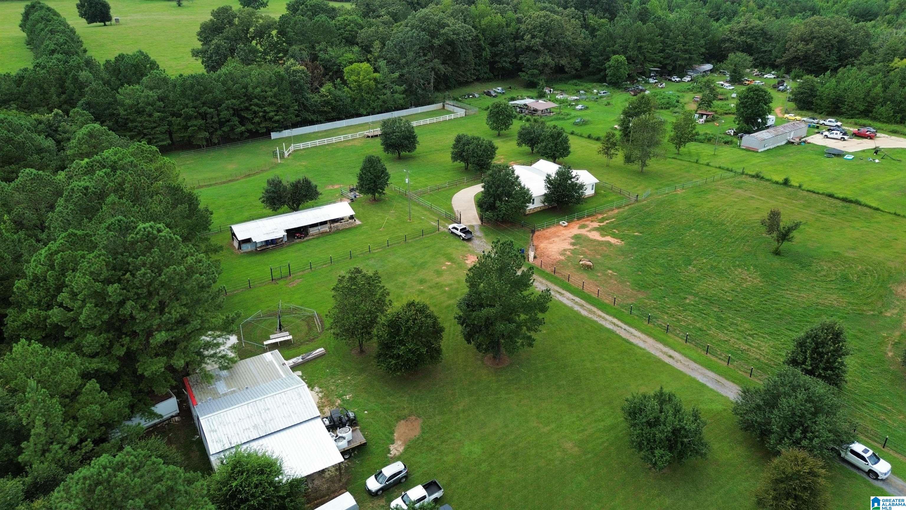 319 Kymulga Road Childersburg, AL 35044 - Photo 8 of 58