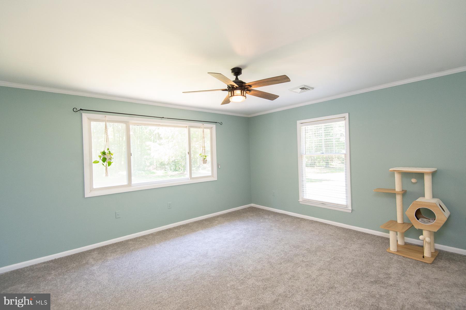 3547 Prchal Road Preston, MD 21655 - Photo 60 of 85
