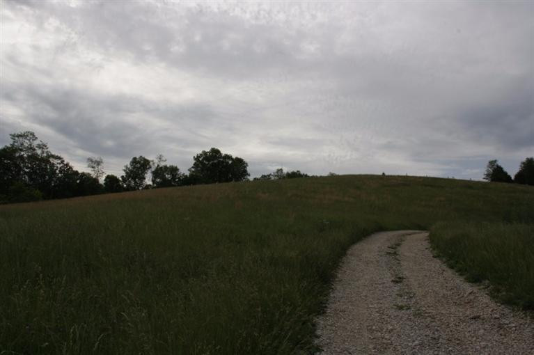 1640 Cane Run Road Carlisle, KY 40311 - Photo 5 of 32 Photo 5