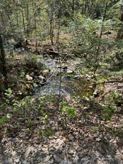 R1-37b O'Dell Road New Sharon, ME 04955 - Photo 23 of 32 IMG_5174