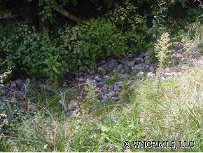 2 Beaverdam Road Canton, NC 28716 - Photo 1 of 1 a view of a garden