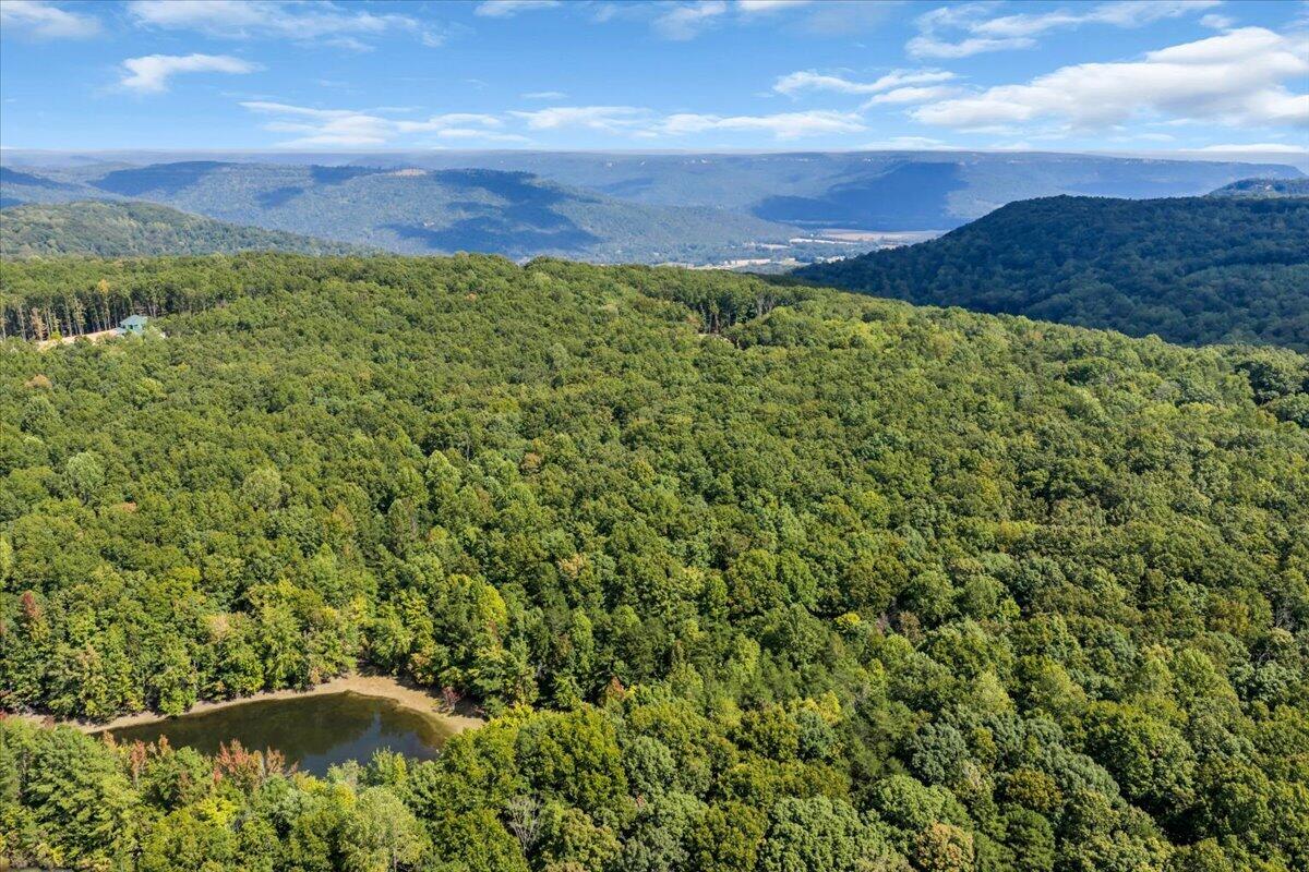0 Bolton Point Road South Pittsburg, TN 37380 - Photo 13 of 22 09-DJI_20261001122109_0382_D