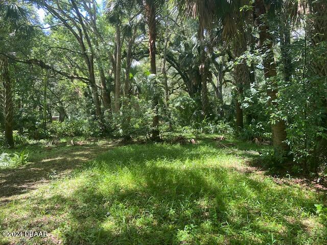 342 New Buckles Road Pierson, FL 32180 - Photo 8 of 11 IMG_0643
