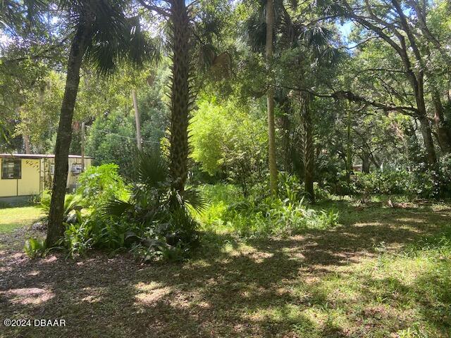 342 New Buckles Road Pierson, FL 32180 - Photo 9 of 11 IMG_0644