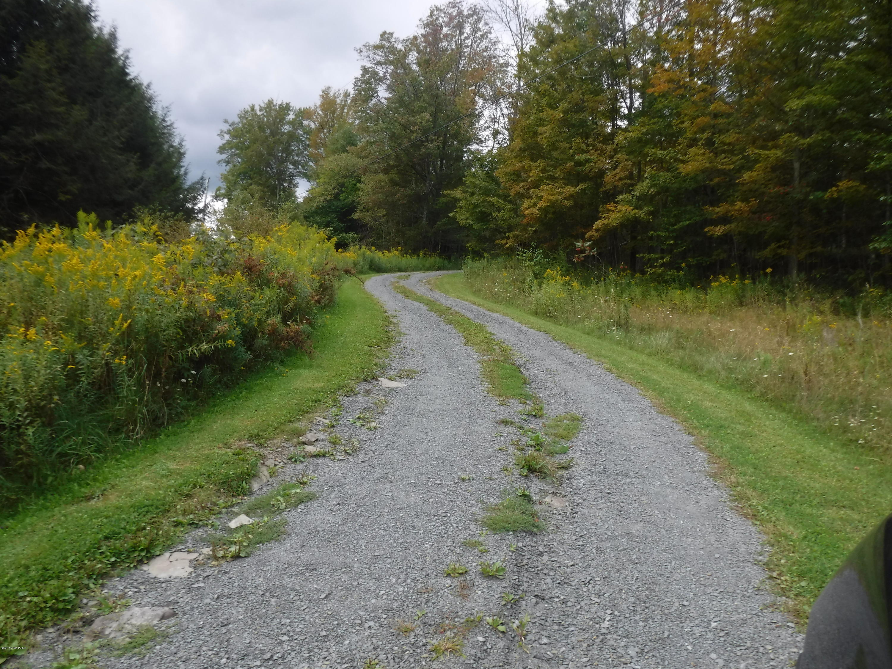 836 Route 4007 Road Forksville, PA 18616 - Photo 2 of 55 Driveway