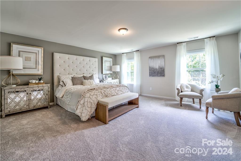 5514 Soft Shell Drive, Unit 413 Lancaster, SC 29720 - Photo 11 of 22 Gallery Image 11