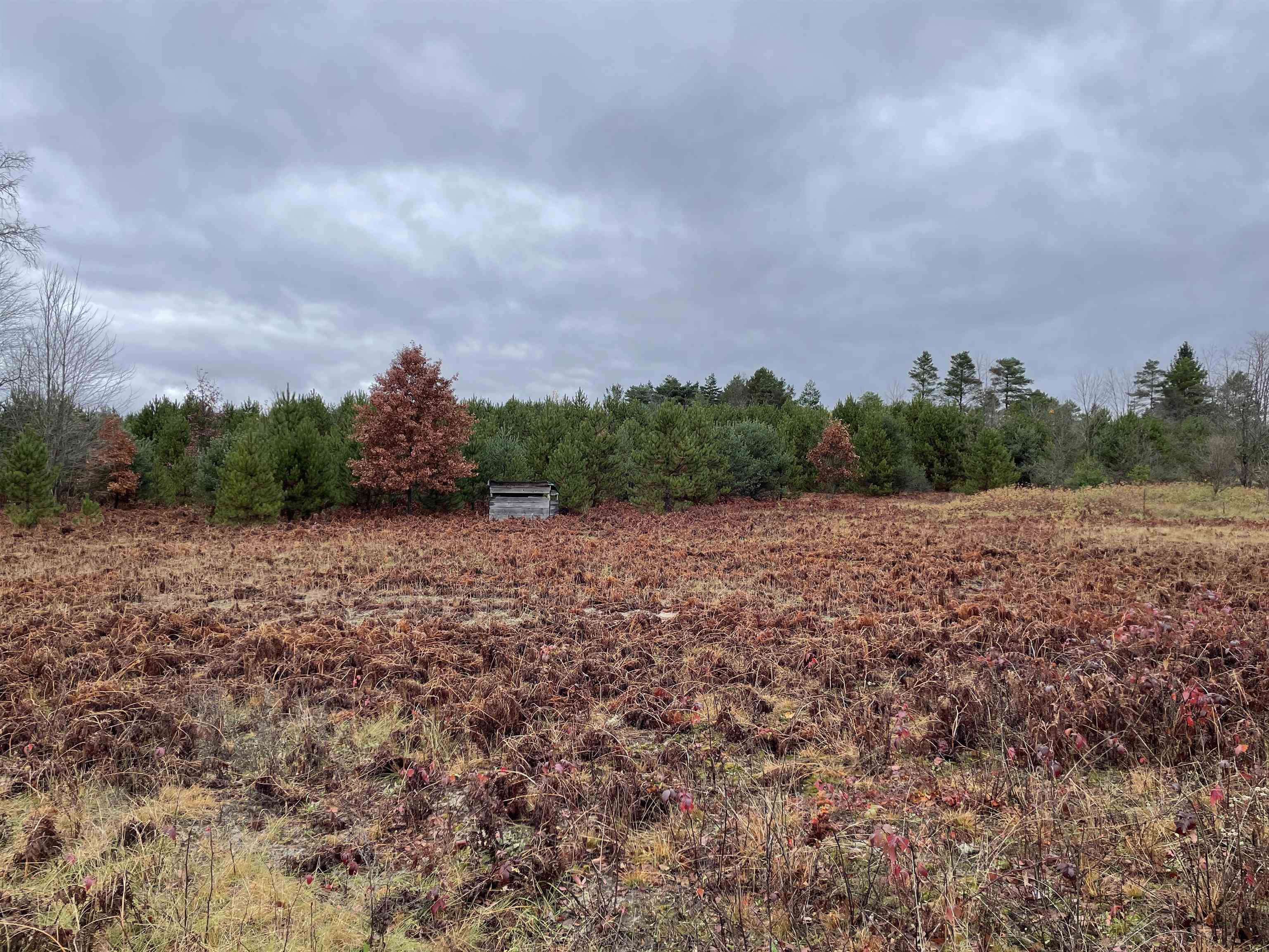 0 35th Road Manton, MI 49663 - Photo 11 of 21 Gallery Image 11