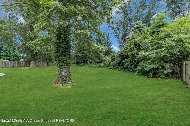 a view of a backyard with a trees