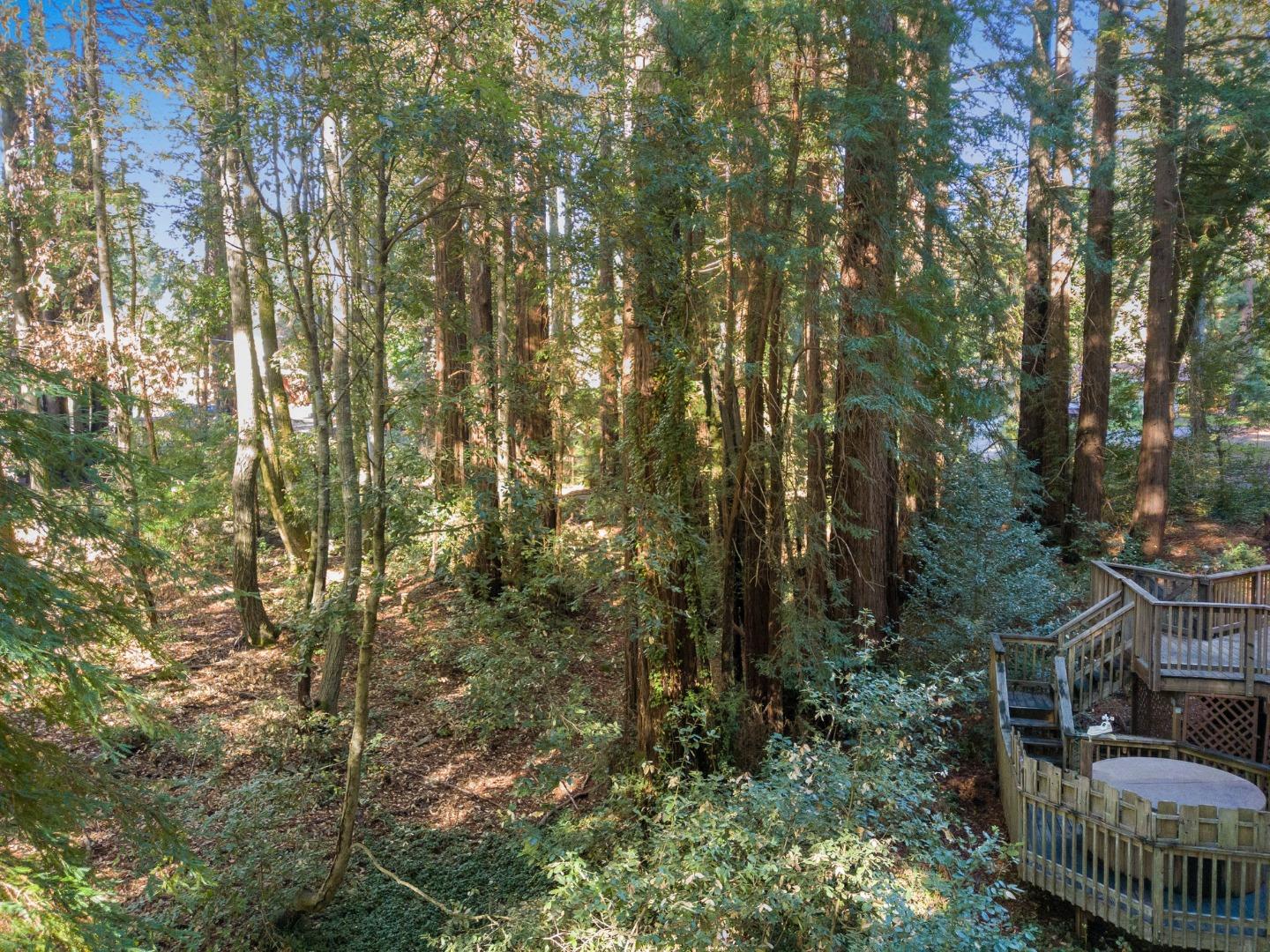 92 Carter Road Santa Cruz, CA 95060 - Photo 50 of 52 Gallery Image 50