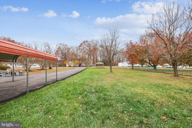 a view of a park with large trees