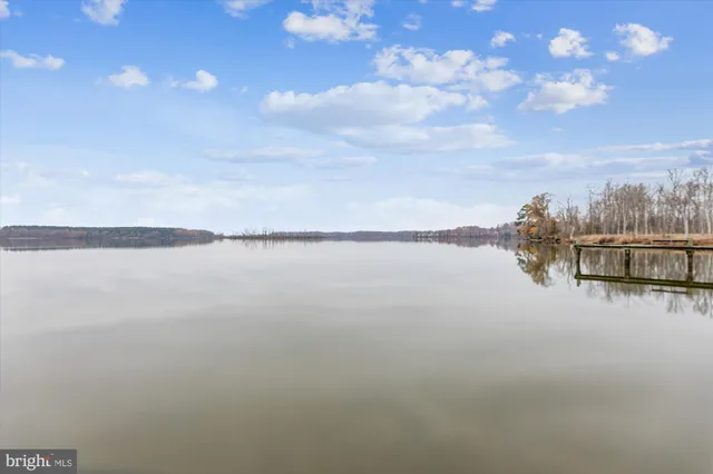 a picture of a black and white photo