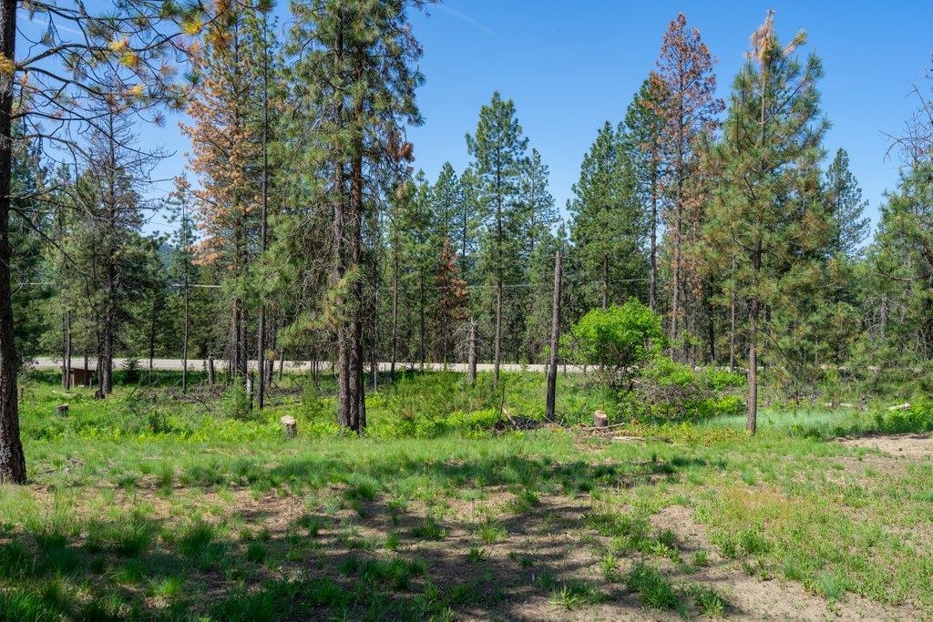 9622 Leclerc Road Newport, WA 99156 - Photo 16 of 50 Gallery Image 16