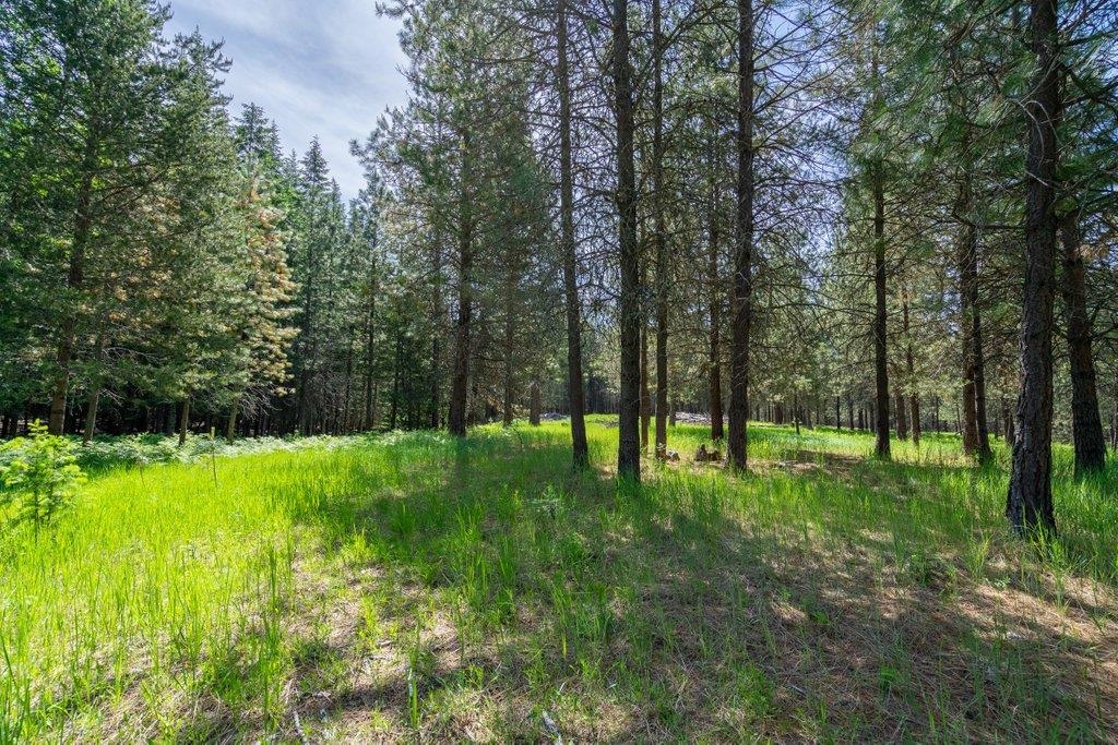 9622 Leclerc Road Newport, WA 99156 - Photo 44 of 50 Gallery Image 44