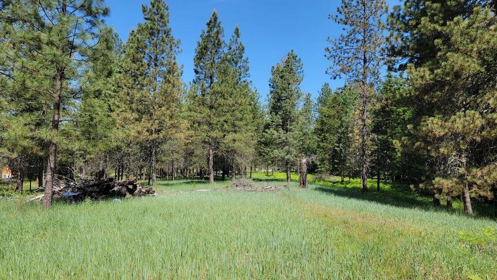 9622 Leclerc Road Newport, WA 99156 - Photo 45 of 50 Gallery Image 45