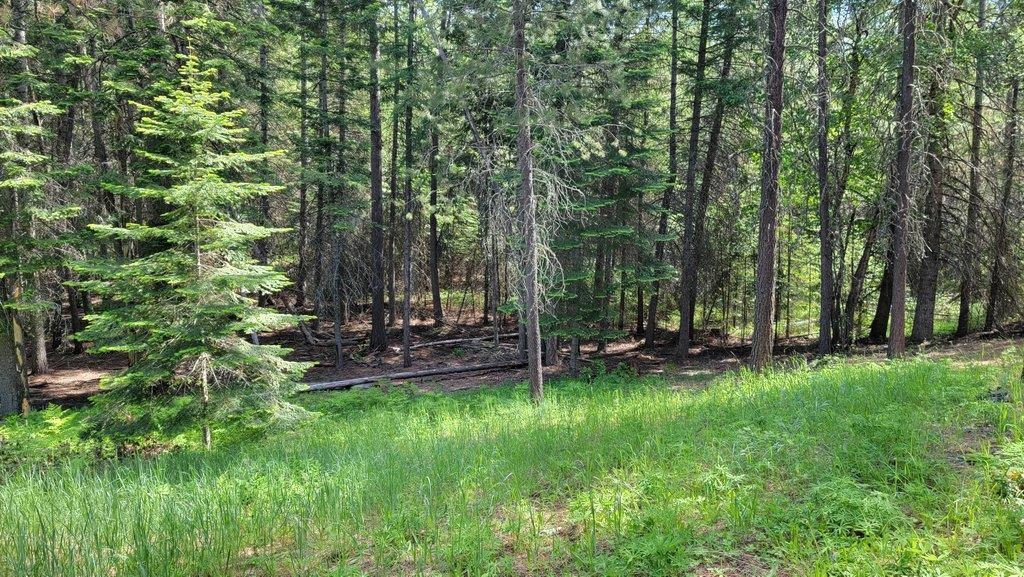 9622 Leclerc Road Newport, WA 99156 - Photo 47 of 50 Gallery Image 47