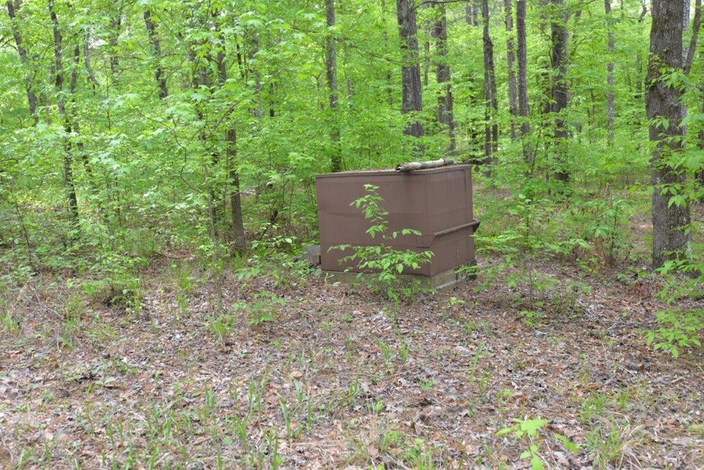 234 Cold Branch Road Eatonton, GA 31024 - Photo 12 of 19 Gallery Image 12