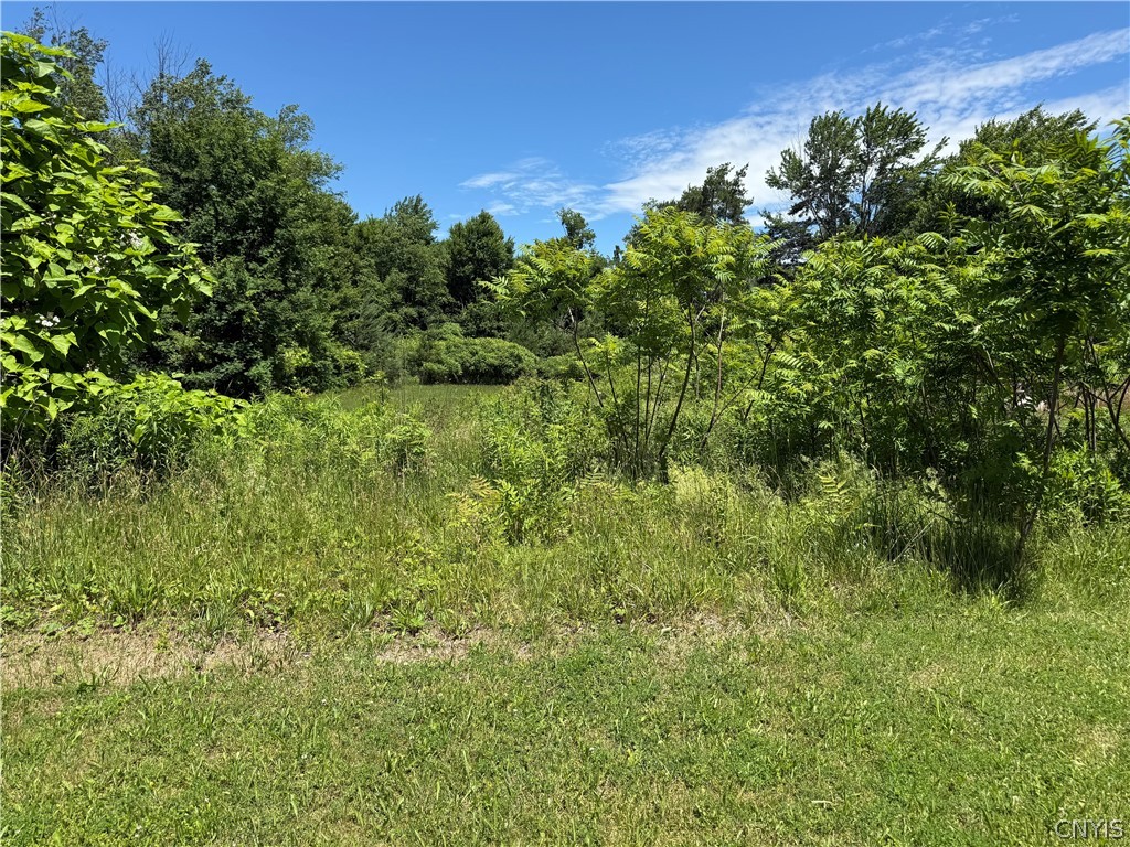 196-200 Russell Road, Unit 196 Granby, NY 13069 - Photo 4 of 22