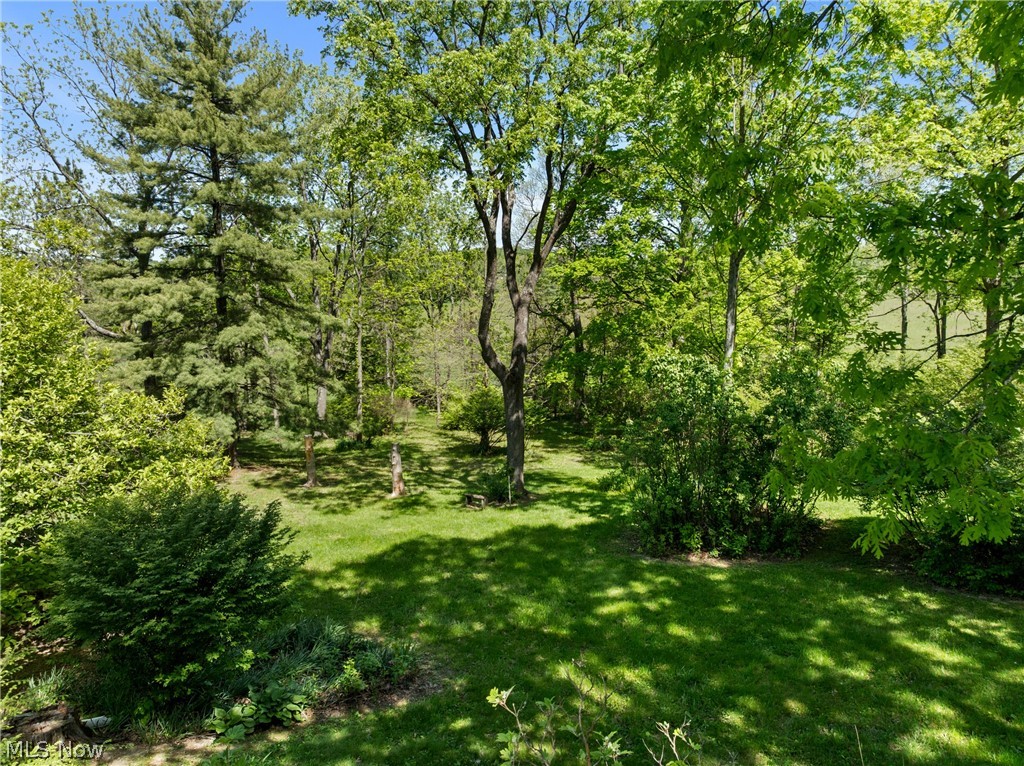 66700 Pancoast Road Belmont, OH 43718 - Photo 41 of 50