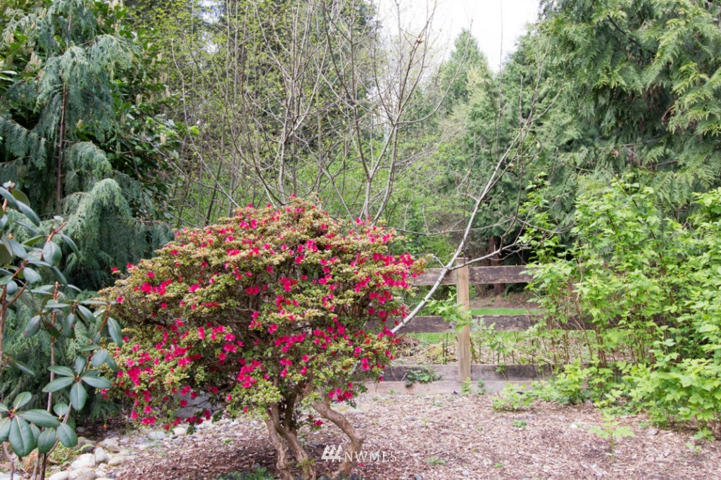 211 225th Place Southeast Bothell, WA 98021 - Photo 20 of 24