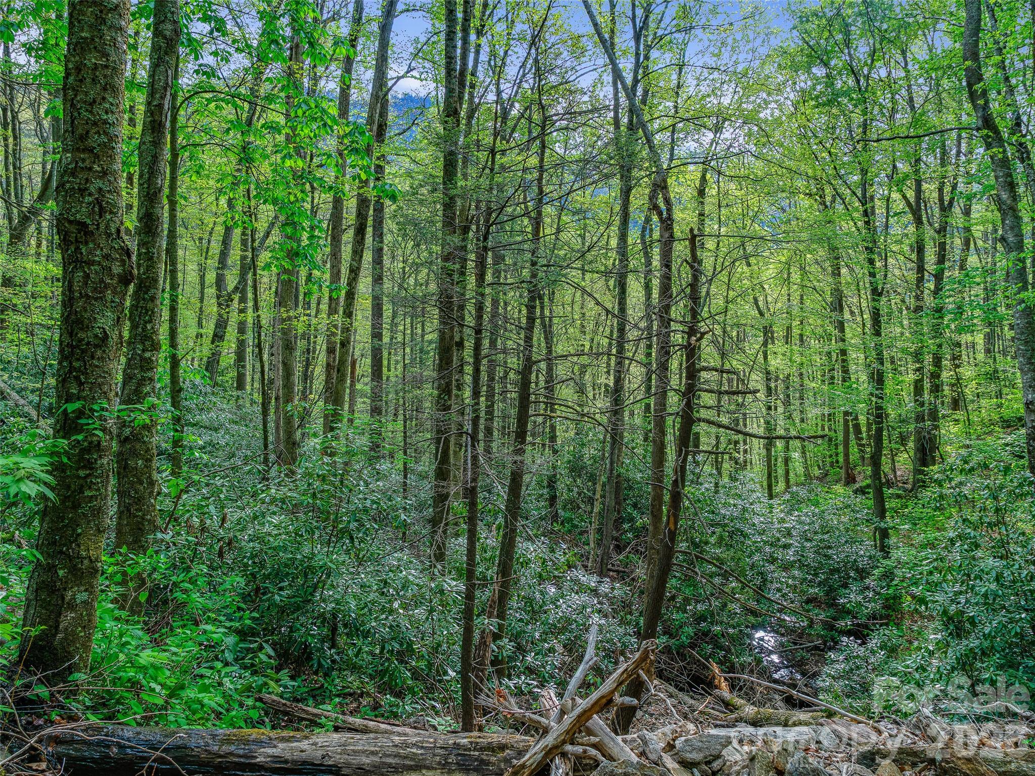 1161 Deep Gap Road Burnsville, NC 28714 - Photo 10 of 14