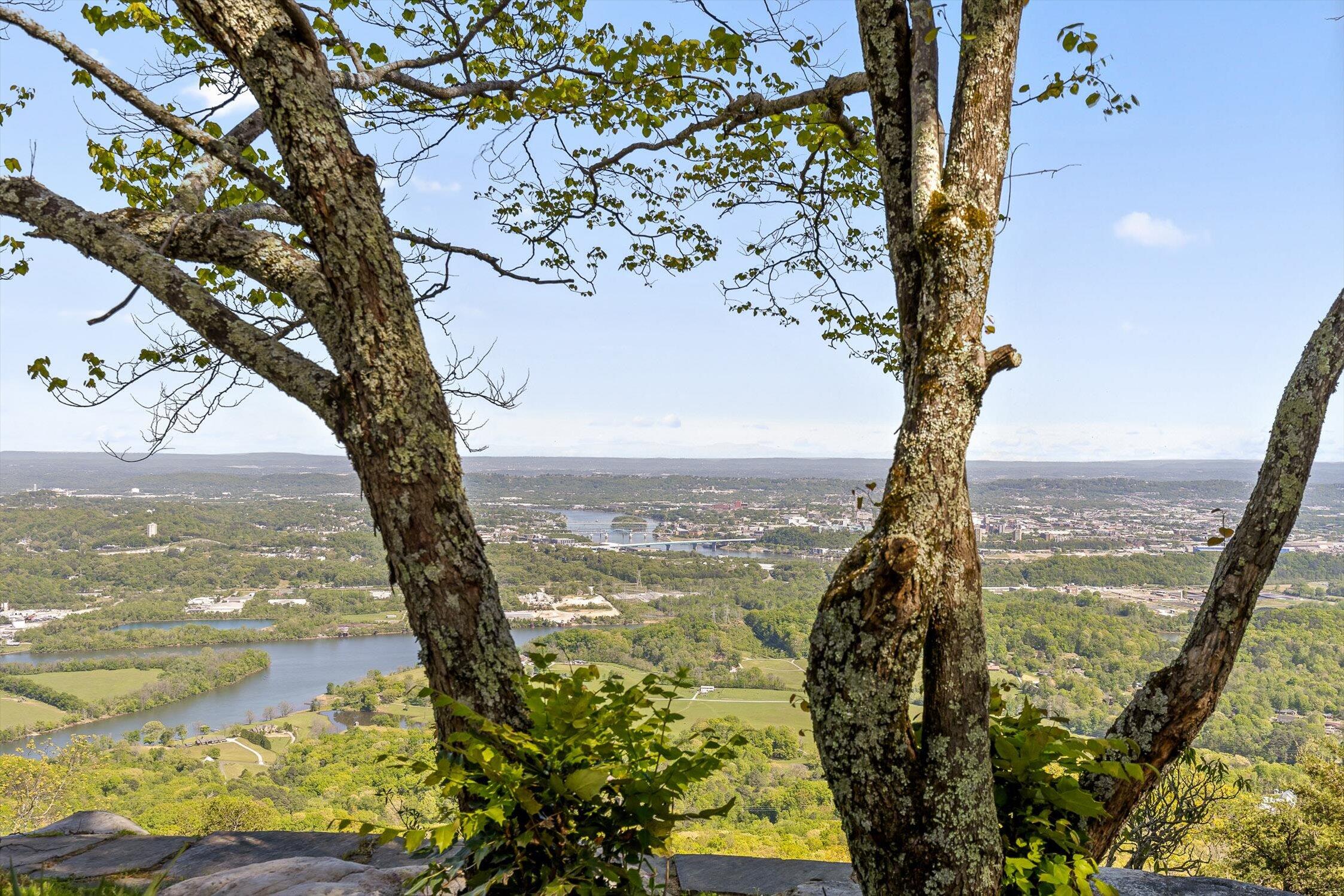 1116 Cumberland Road Chattanooga, TN 37419 - Photo 45 of 63 46-Cumberland-46