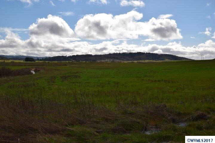 4800 Livermore Road Dallas, OR 97338 - Photo 8 of 12 Gallery Image 8