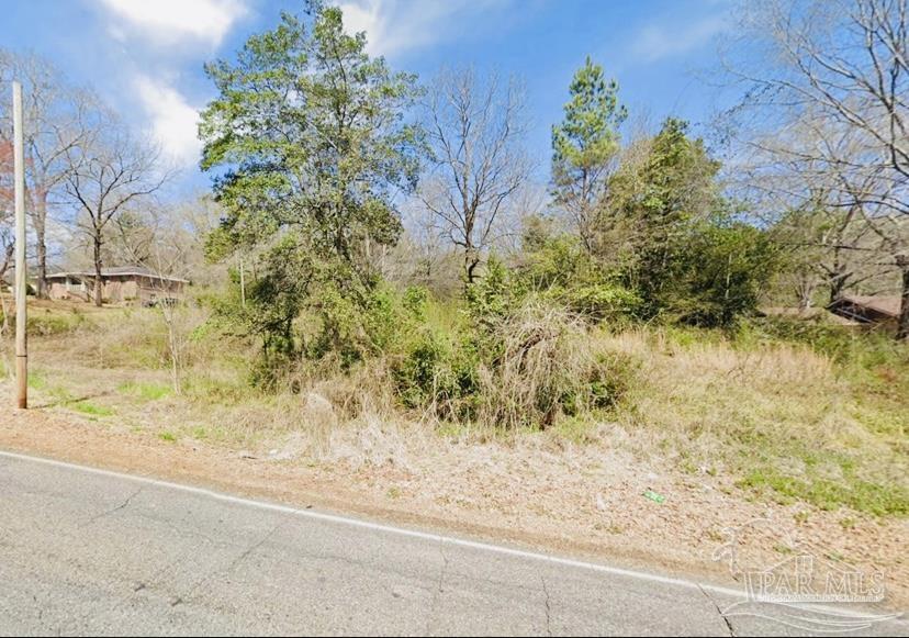 320 Roebuck Drive Birmingham, AL 35215 - Photo 3 of 4