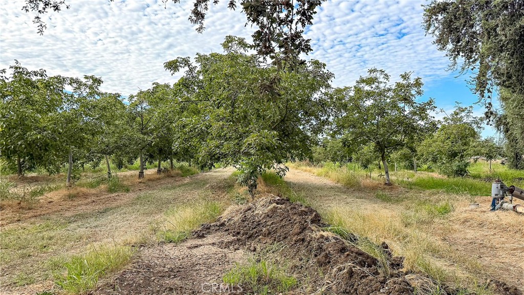 252 South Gurr Road Merced, CA 95341 - Photo 23 of 35 Gallery Image 23
