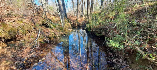 $4,887,000 | 0 Northwest Piney Road, Dickson, TN 37055