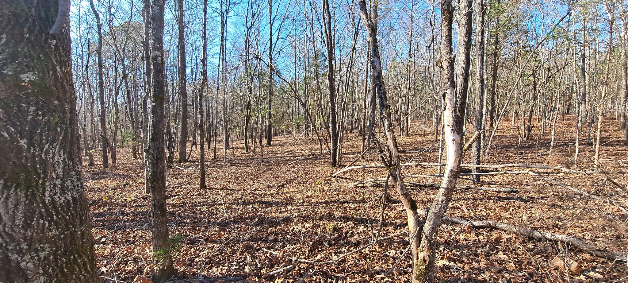 0 Northwest Piney Road Dickson, TN 37055 - Photo 15 of 23 a view of outdoor space with chairs