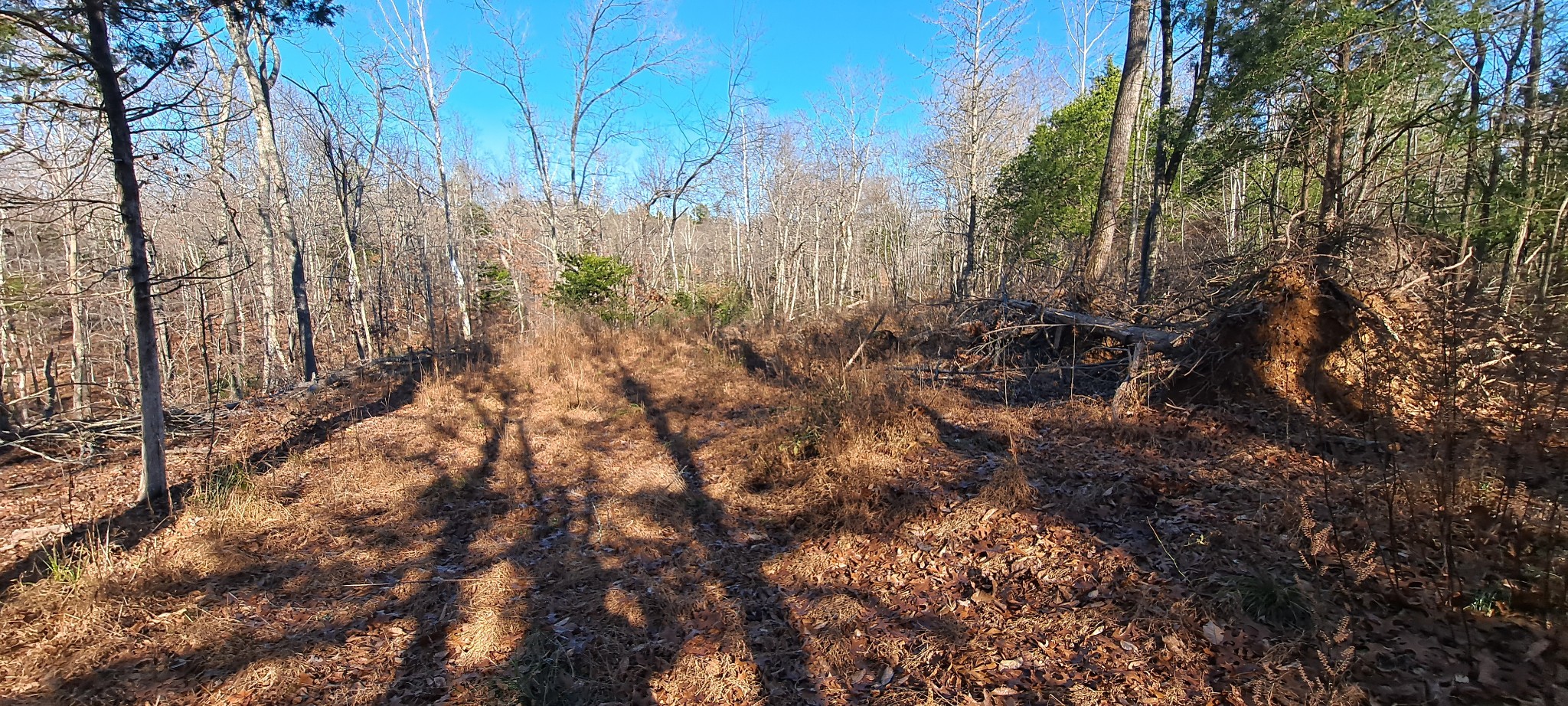 0 Northwest Piney Road Dickson, TN 37055 - Photo 19 of 23 a view of a yard