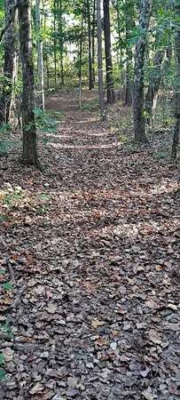 a picture of a field