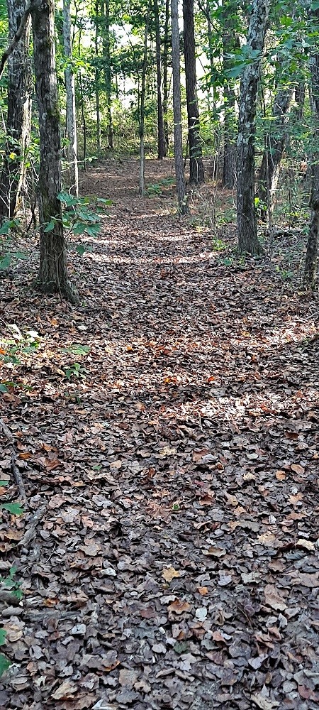 0 Northwest Piney Road Dickson, TN 37055 - Photo 19 of 23 a backyard of a house with lots of green space