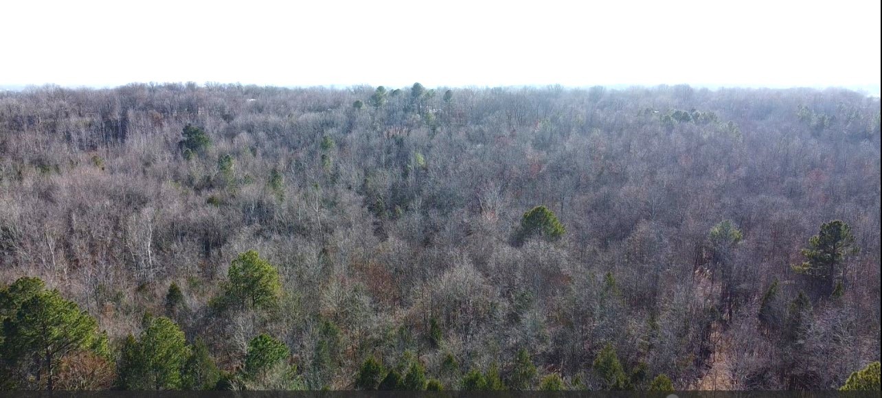 0 Northwest Piney Road Dickson, TN 37055 - Photo 20 of 23 a view of a lush green forest